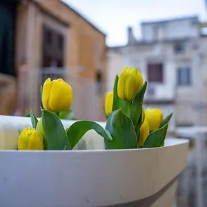  Casa vacanze Termini